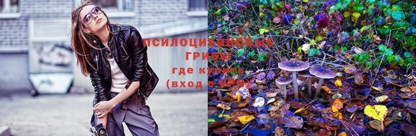 винт Белокуриха