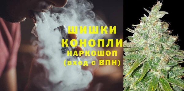 винт Белокуриха